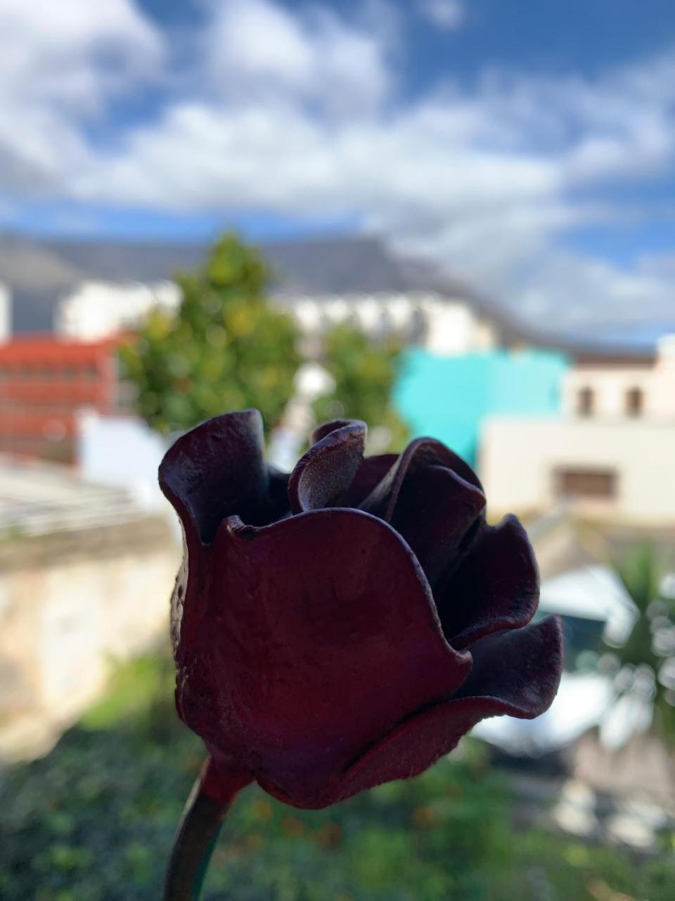La Rose B&B Ciudad del Cabo Exterior foto